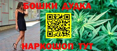 индика Пугачёв