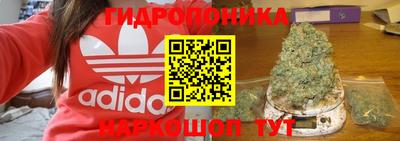 индика Пугачёв