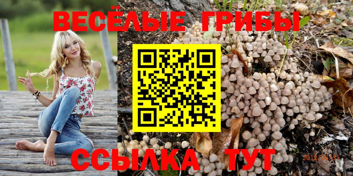 Псилоцибиновые грибы прущие грибы Ангарск